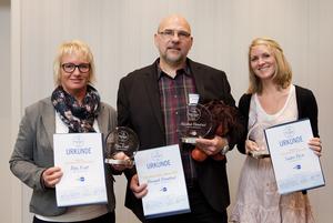 Finalisten Pain Nurse des Jahres 2012